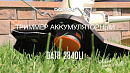 Триммер аккумуляторный DAEWOO DATR 2840Li_10